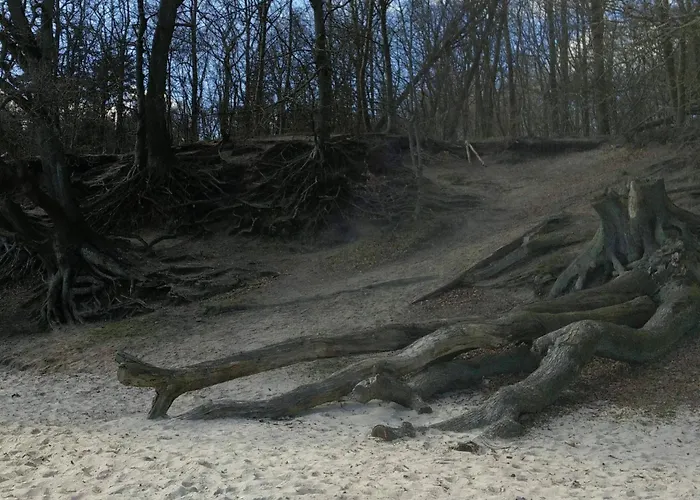 8 Person In Aabenraa-by Traum